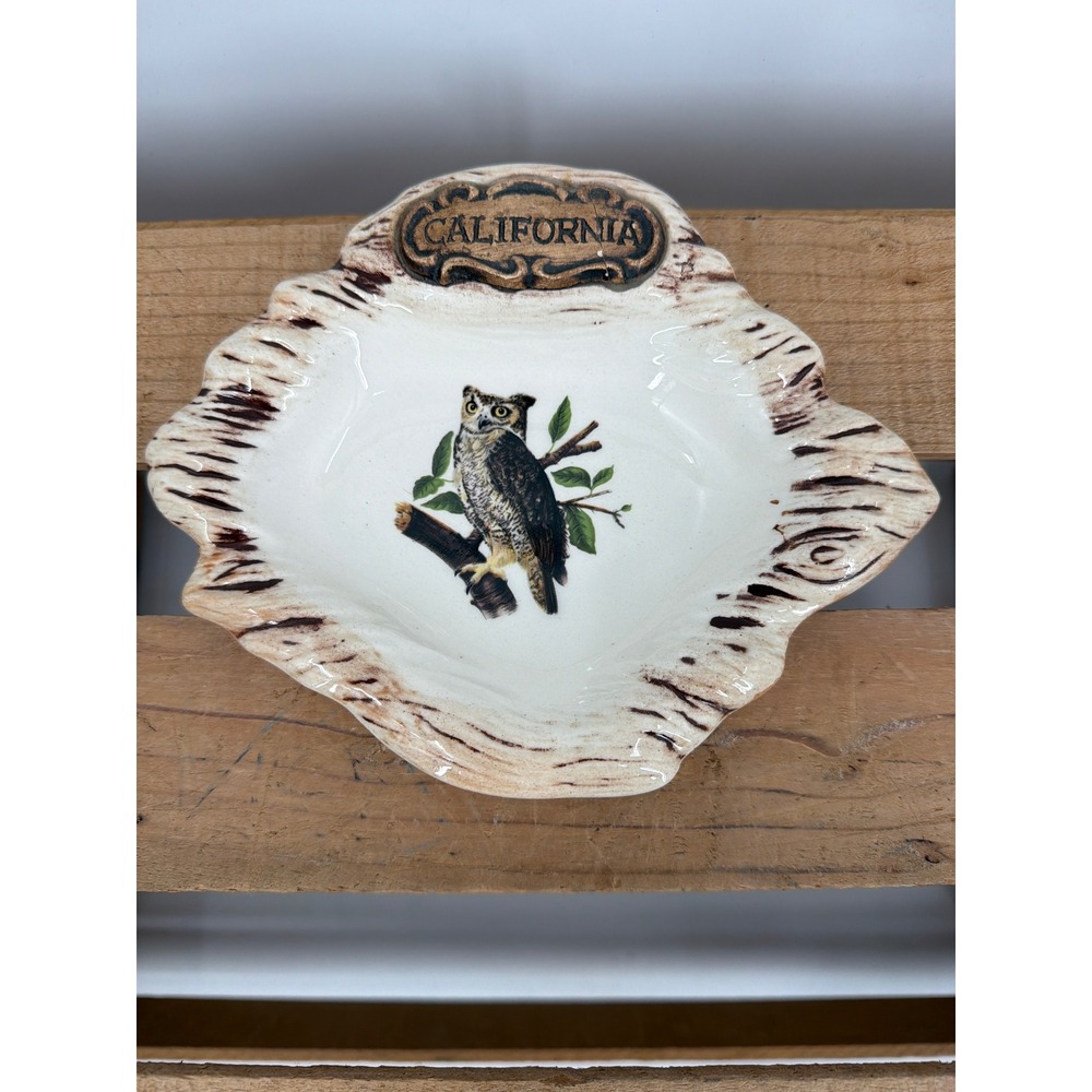 Vintage Treasure Craft California Owl Ceramic Trinket Souvenir Dish USA‎ 7.5"